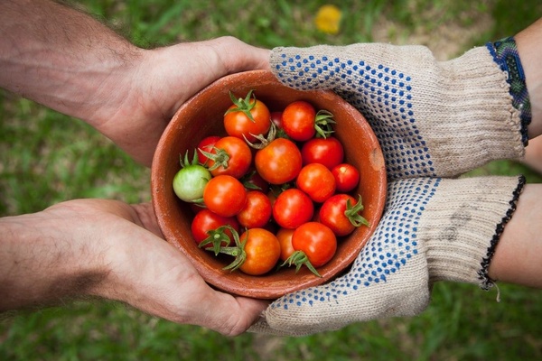 How to grow friendships: from night shelter to nurturing neighbours